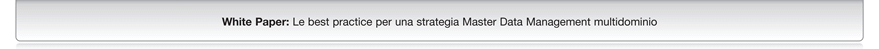 White Paper: Le best practice per una strategia Master Data Management multidominio